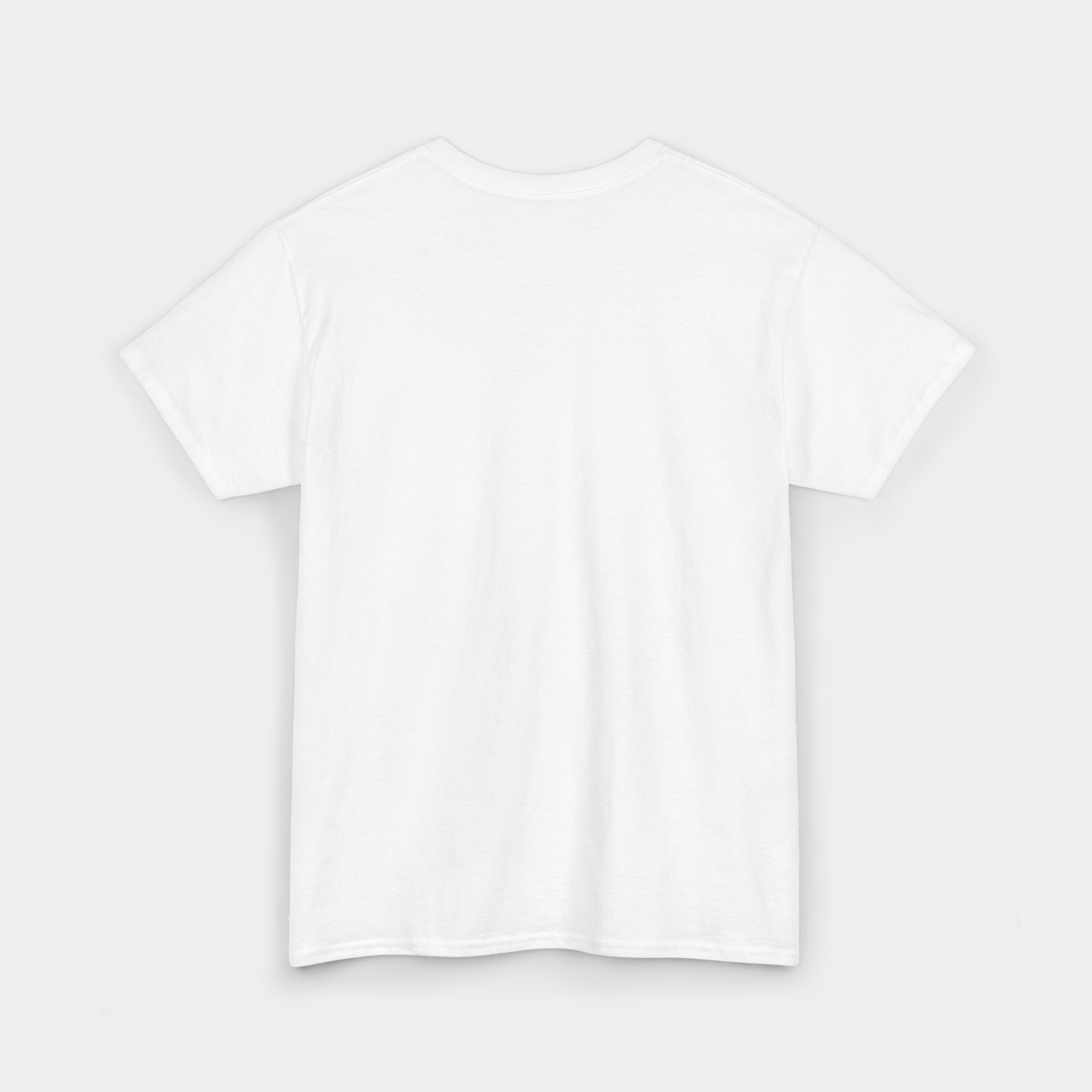 Hugo's Cleaning Service (Hugo Lloris) T-shirt
